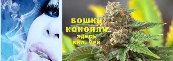 не бодяженный Арсеньев